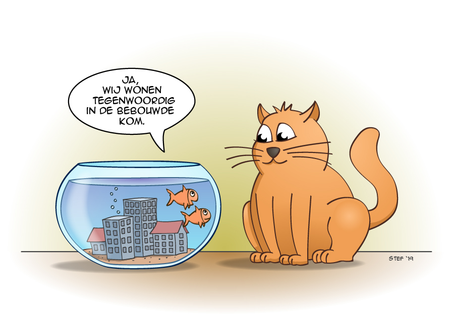 Cat&Fish; wonen in de bebouwde kom.