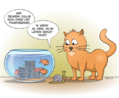 Cat an fish cartoon; Werken vanuit huis.